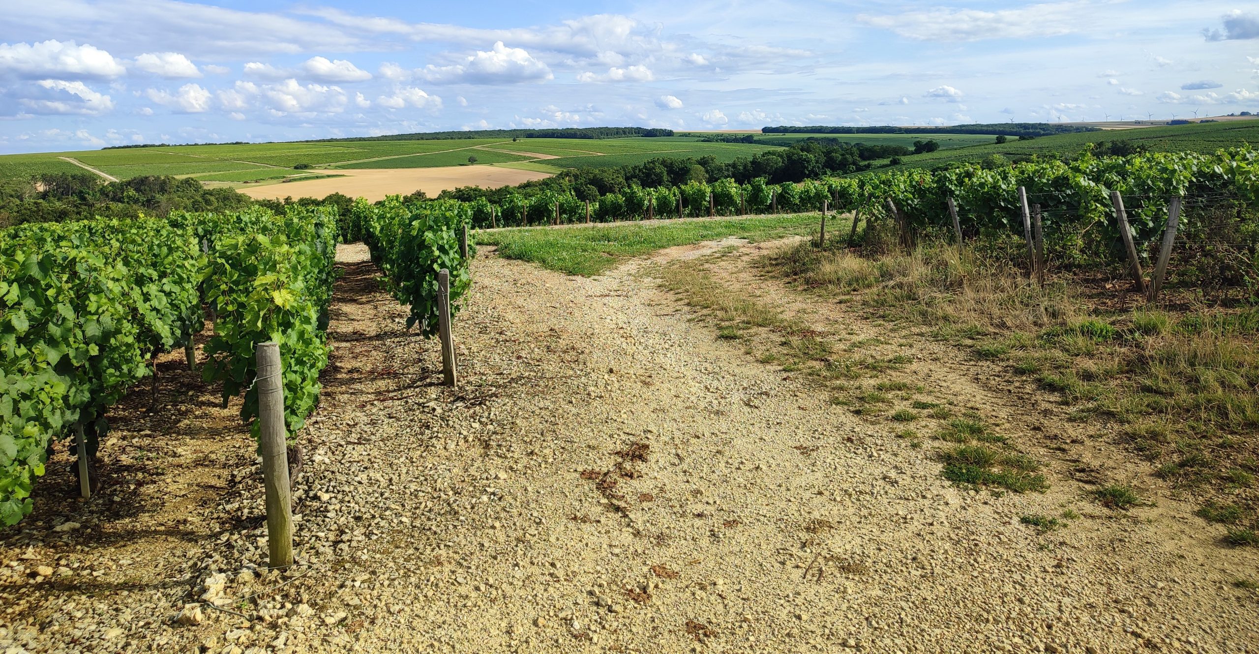 Scenery illustrating our private chauffeur services