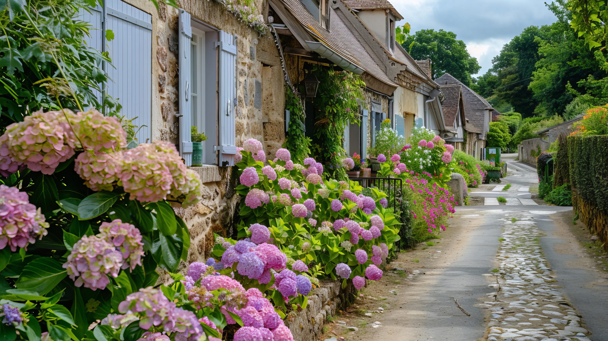 Scenery illustrating our private chauffeur services